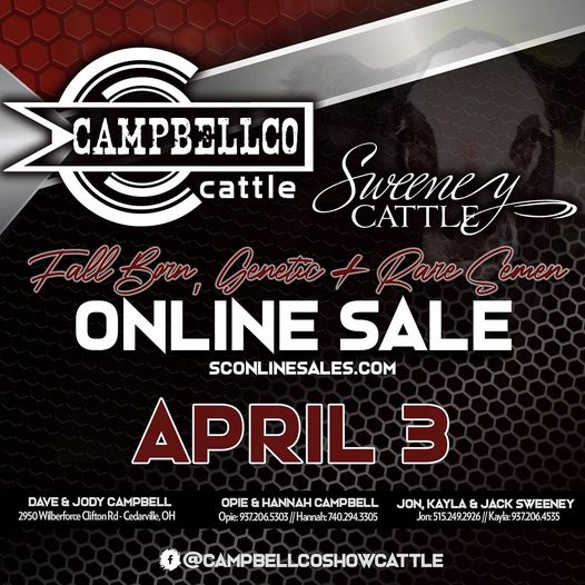 CampbellCo Apr3 2023 Sale image